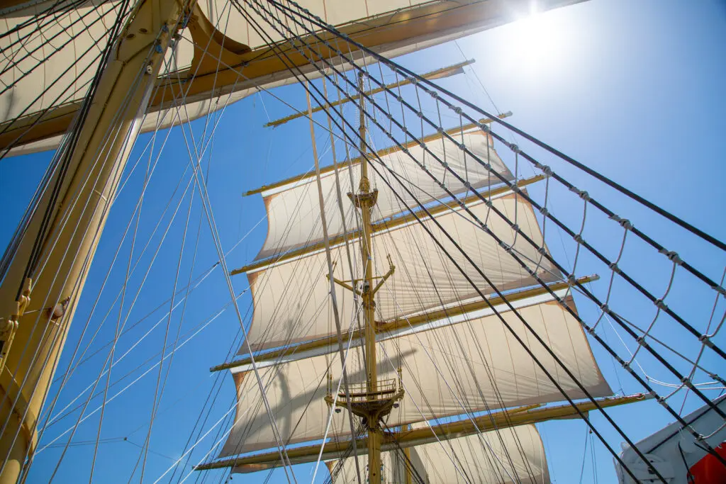 203 Rigging.png