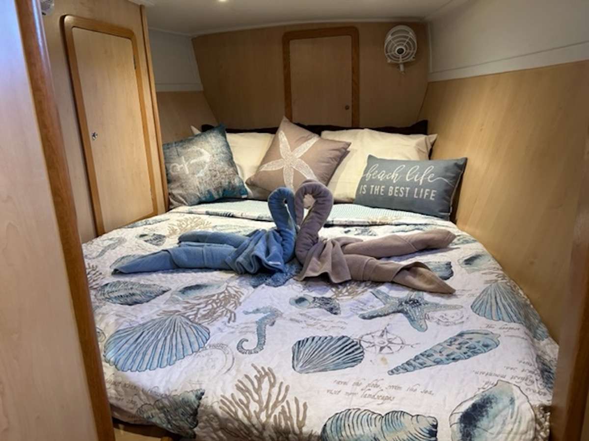 304 Sailing Catamaran MANNA Cabin 2.jpg