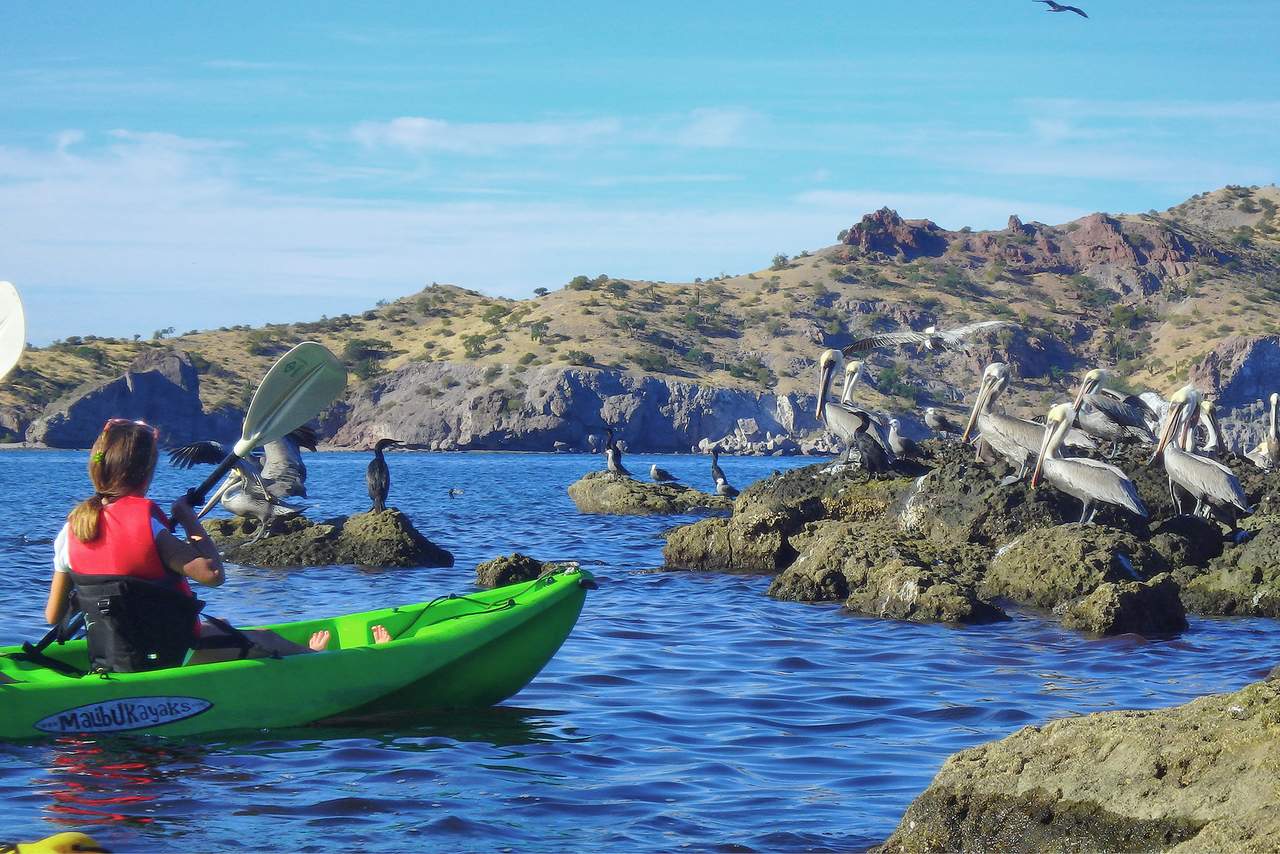 Activities  00010.jpg