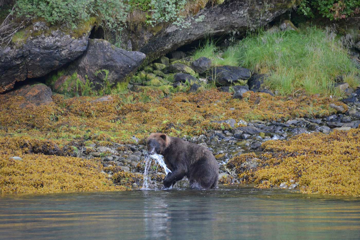 Alaska 2.jpg