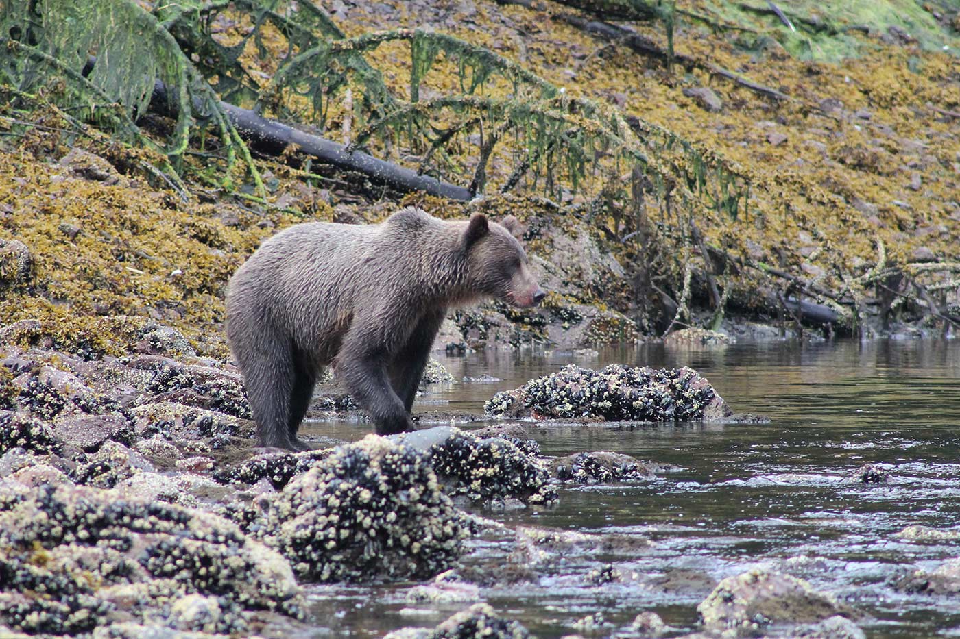 Alaska 3.jpg