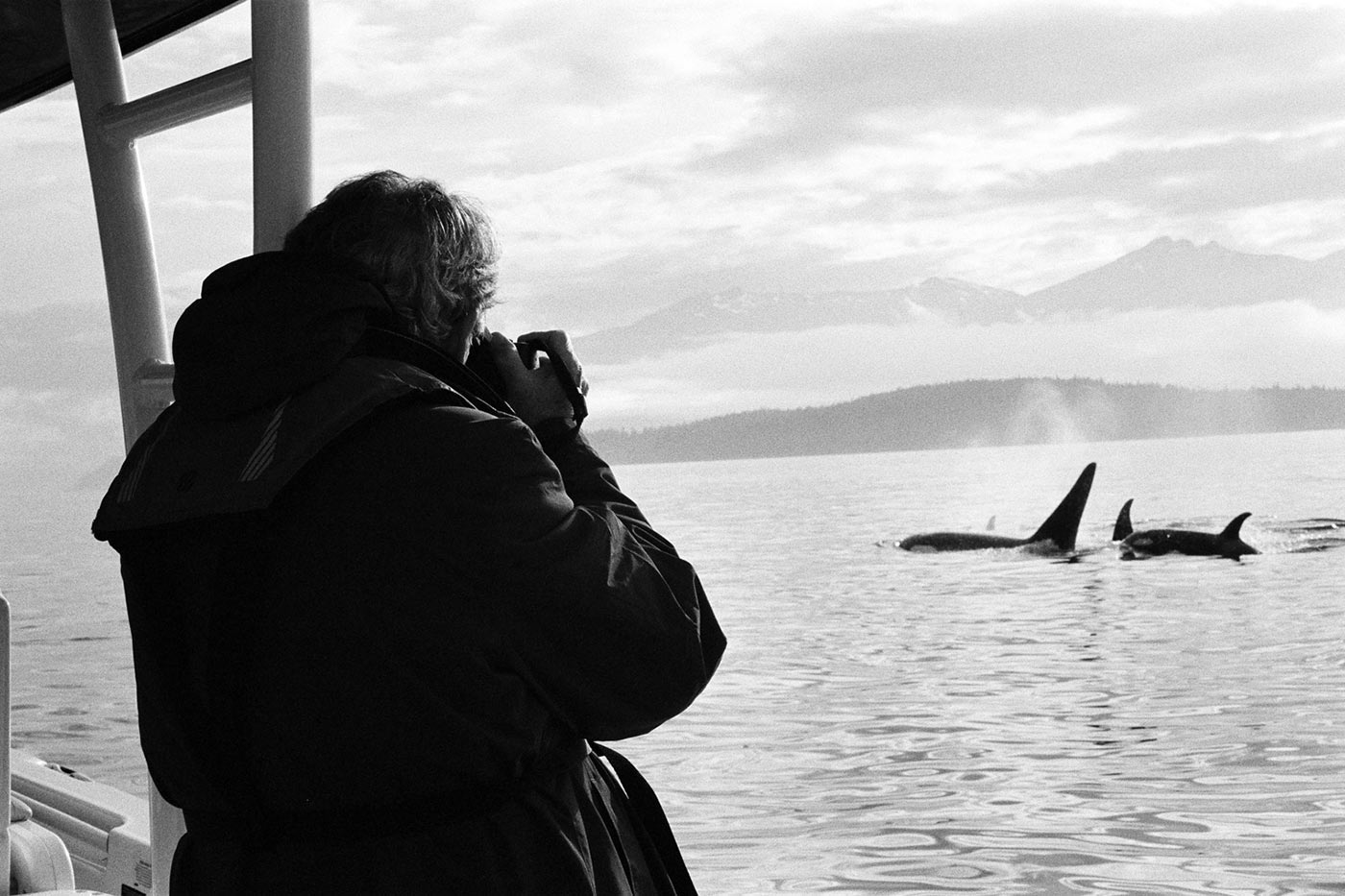Alaska charters 11.jpg