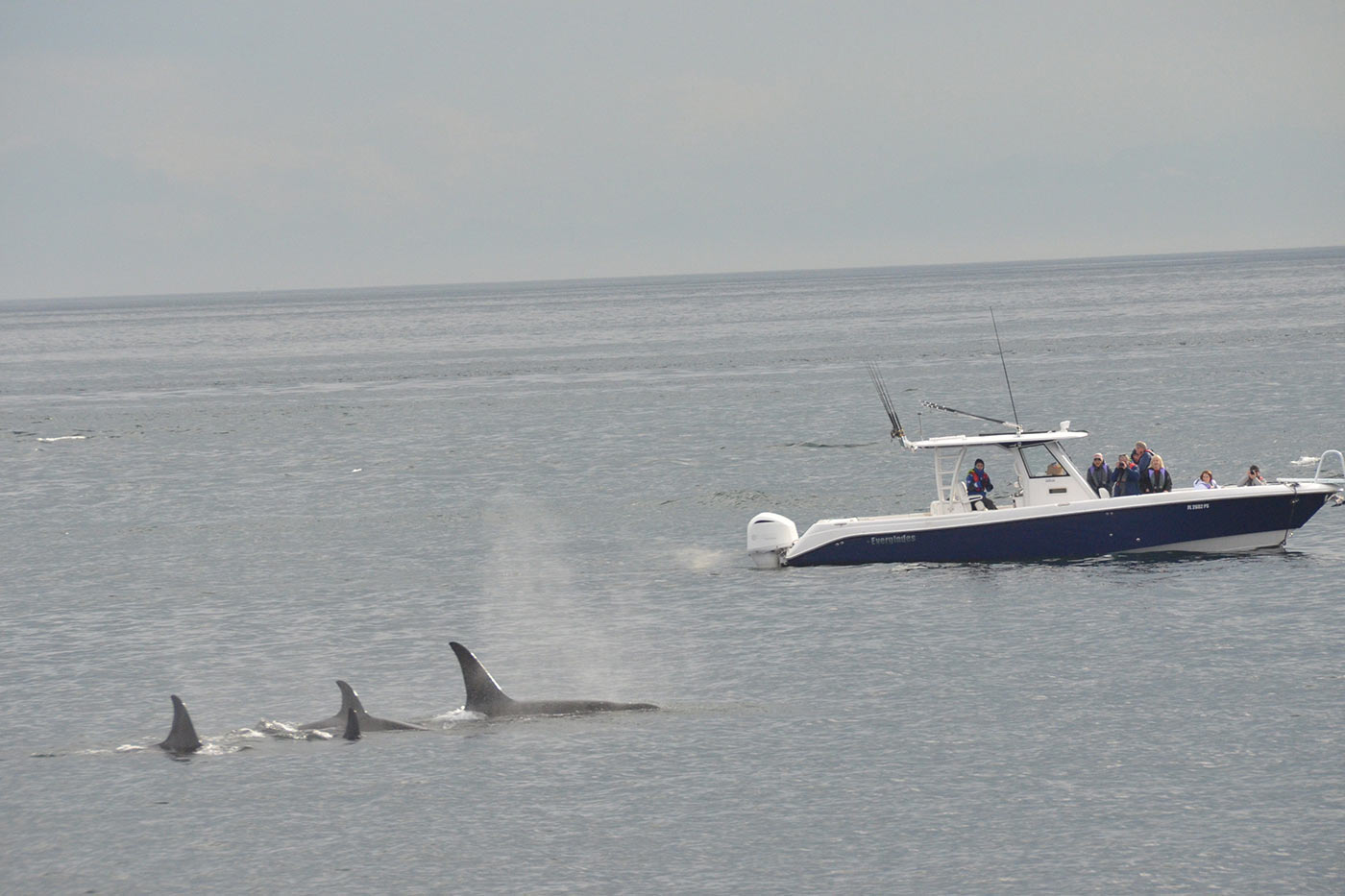 Alaska charters 14.jpg