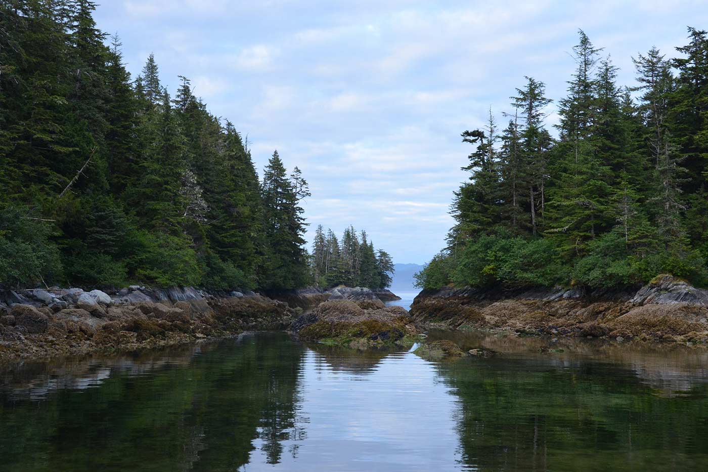 Alaska charters 2.jpg
