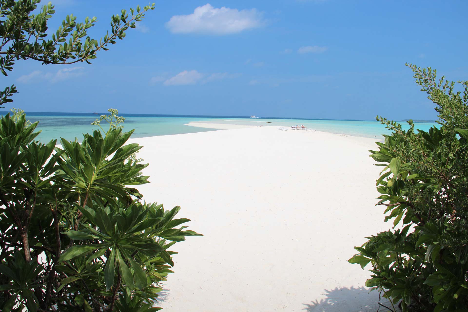 Beach .jpg