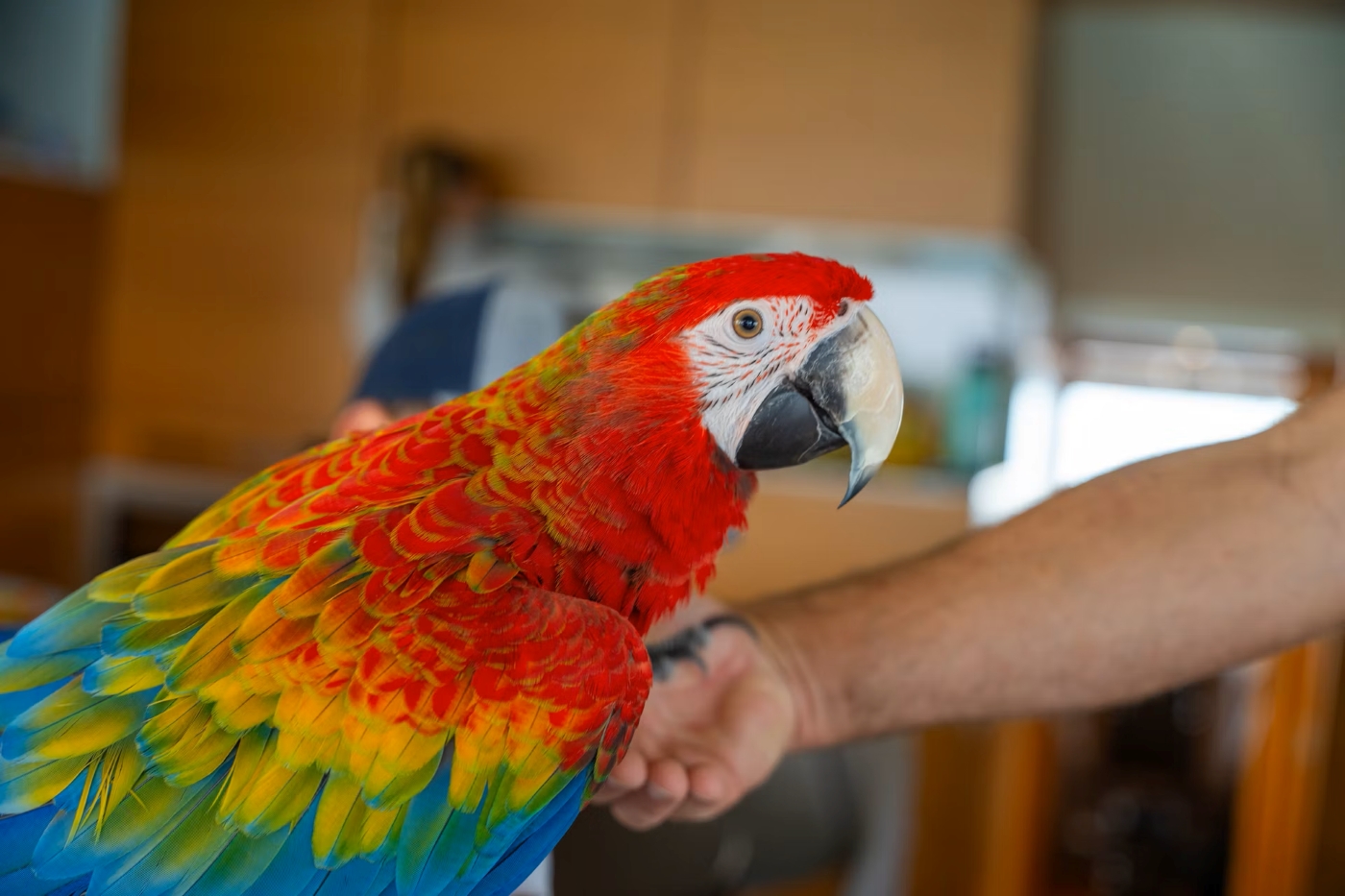 Bird.jpg