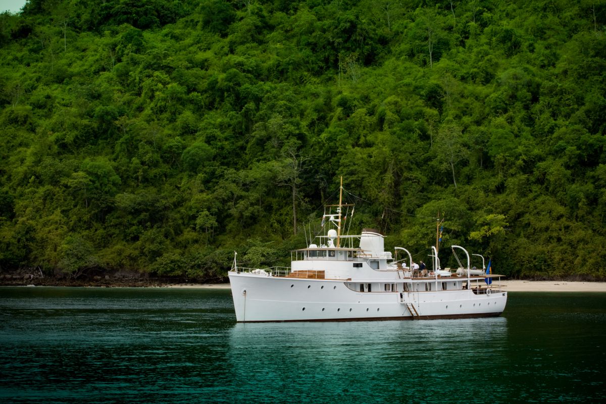 Calisto in Thailand 00001.jpg