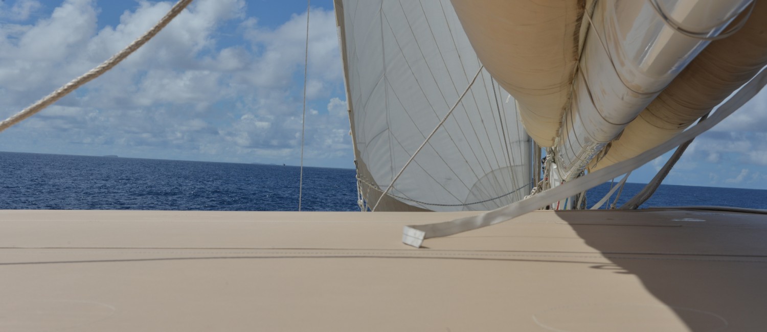 Catamaran LONESTAR.jpg