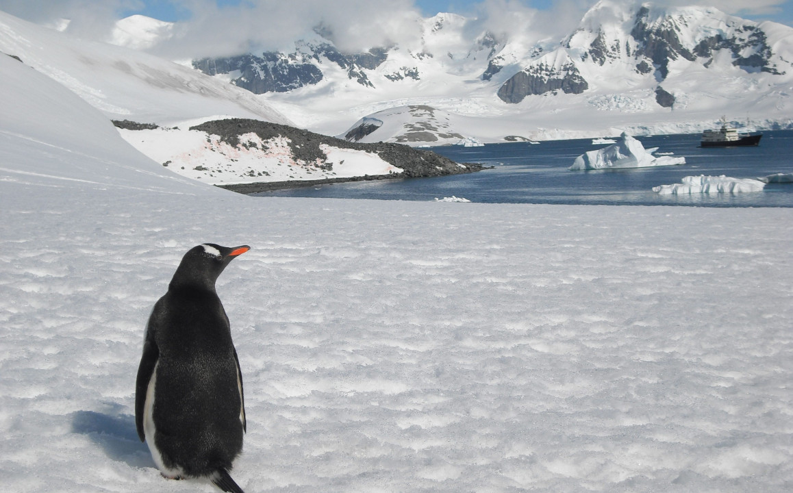 Charter Pioneer in remote destinations  00002.jpg