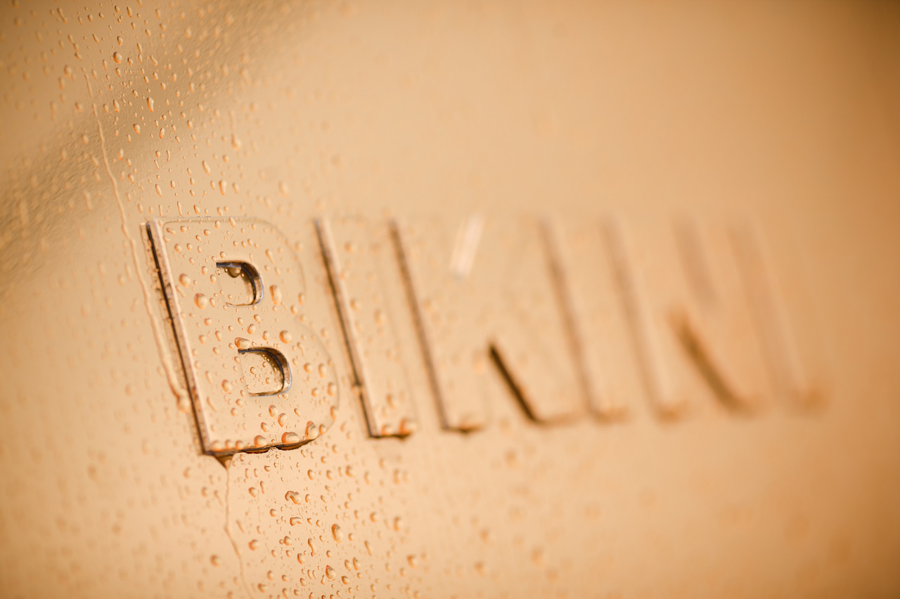 Close-up 1.jpg
