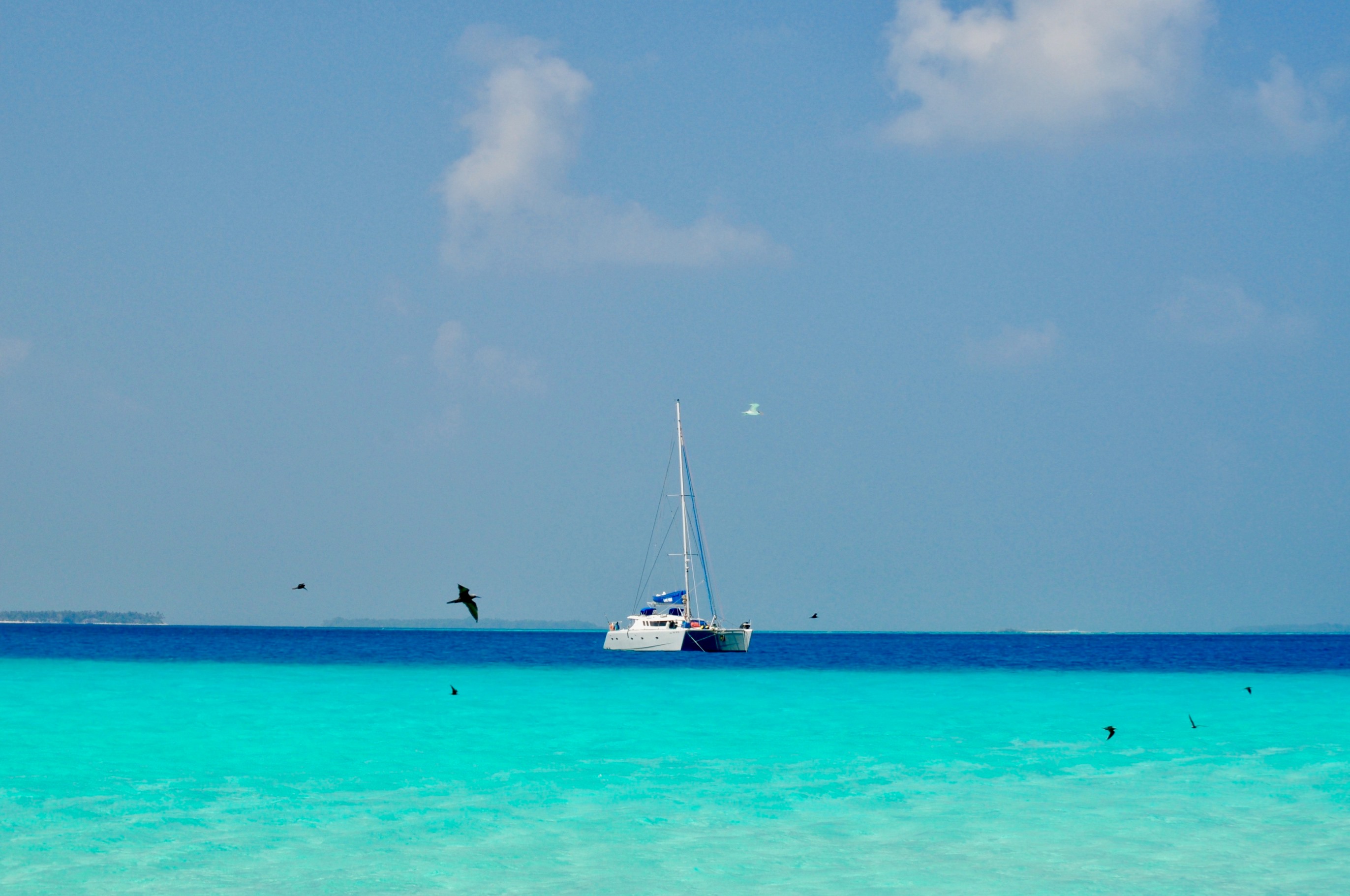 DSC_0250.jpg