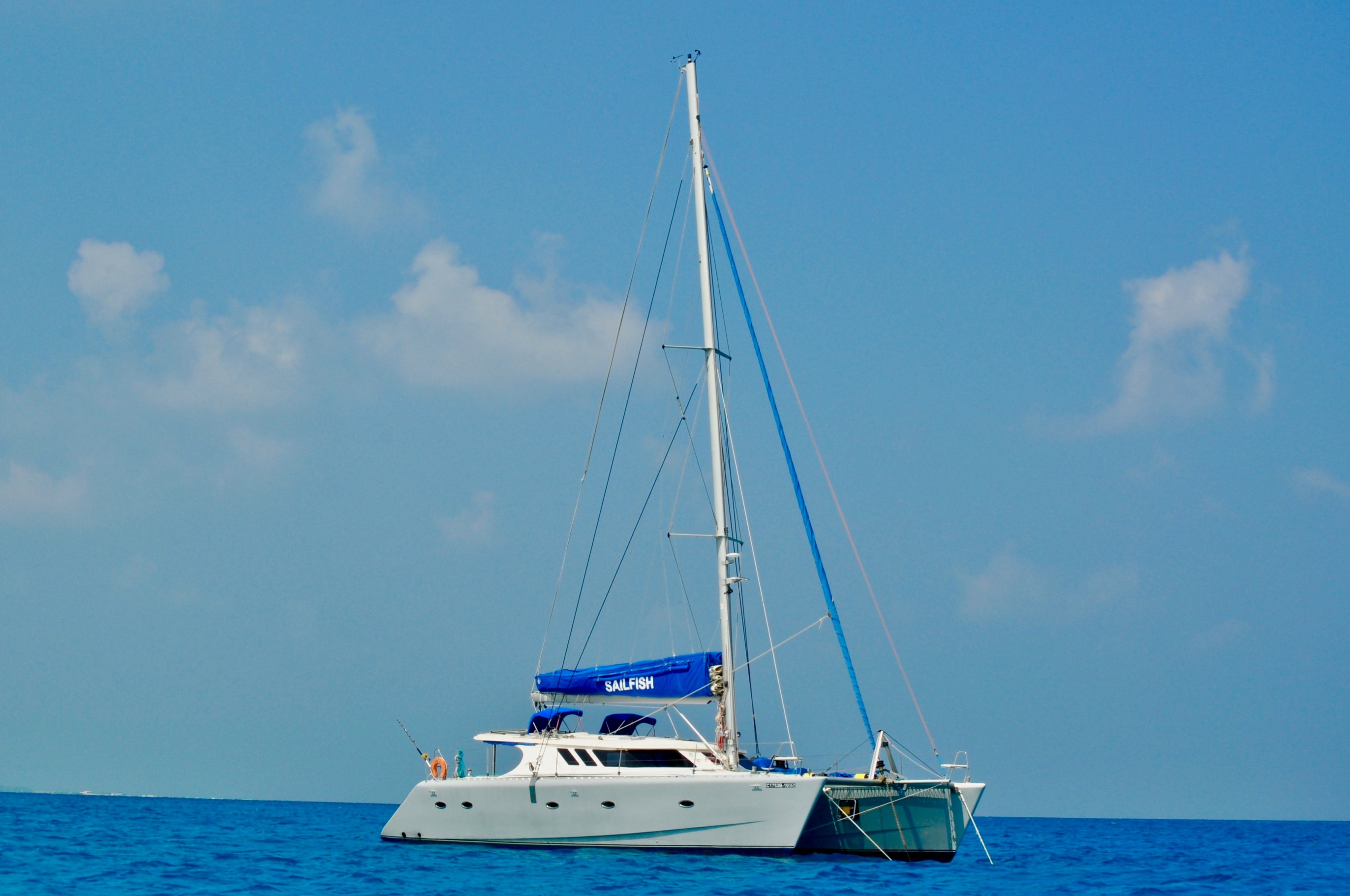 DSC_0255.jpg