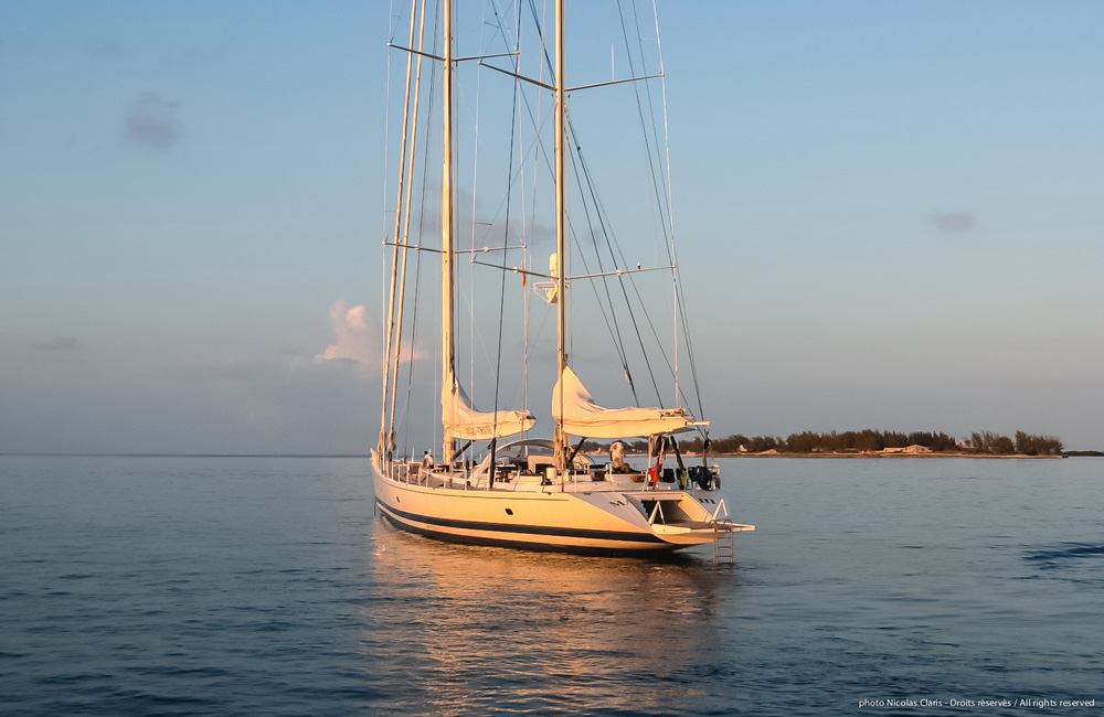 DSC_1423.jpg
