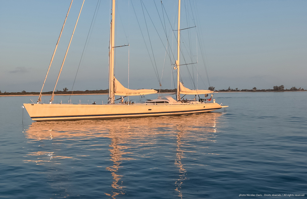 DSC_1436.jpg