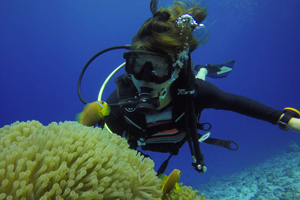 Diving  .jpg
