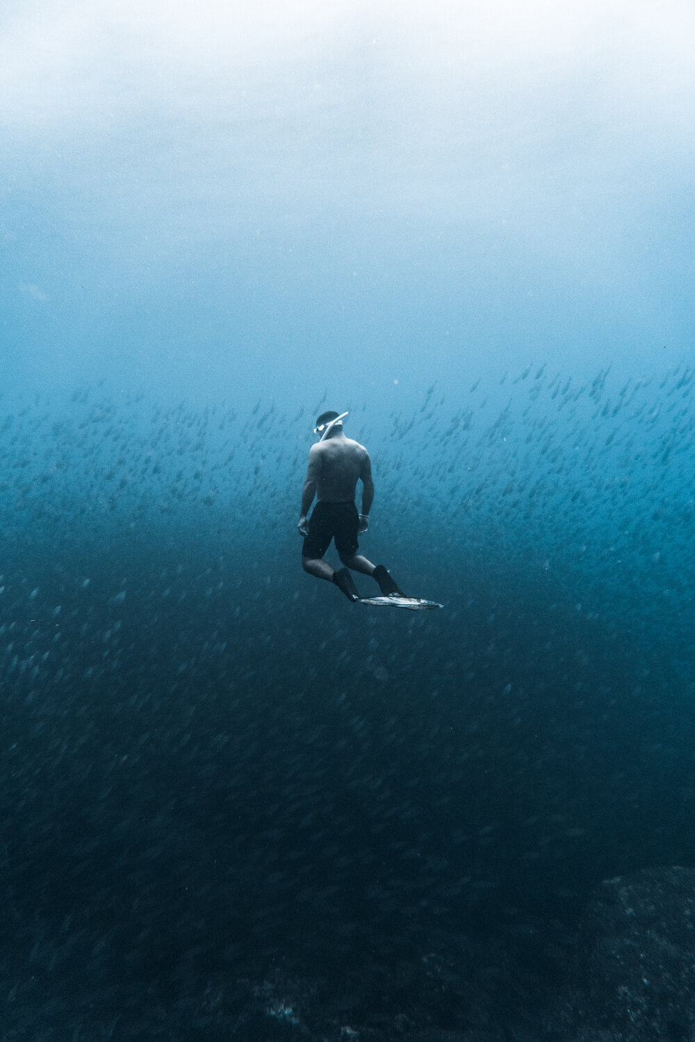 Diving experinece 2.jpg