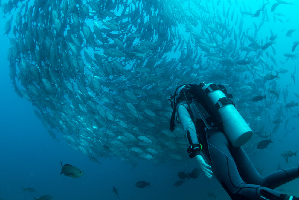 Diving experinece 4.jpg