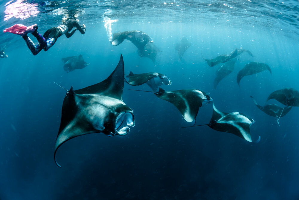 Diving experinece 7.jpg