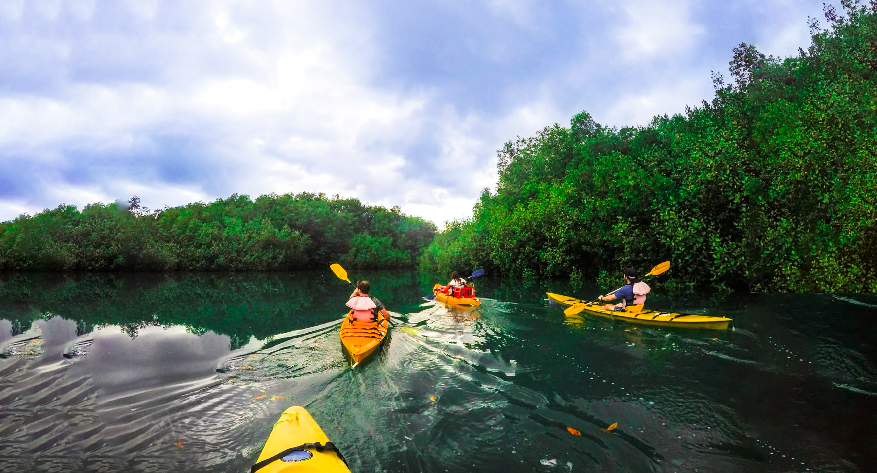 Kayak Osa Peninsula.jpg