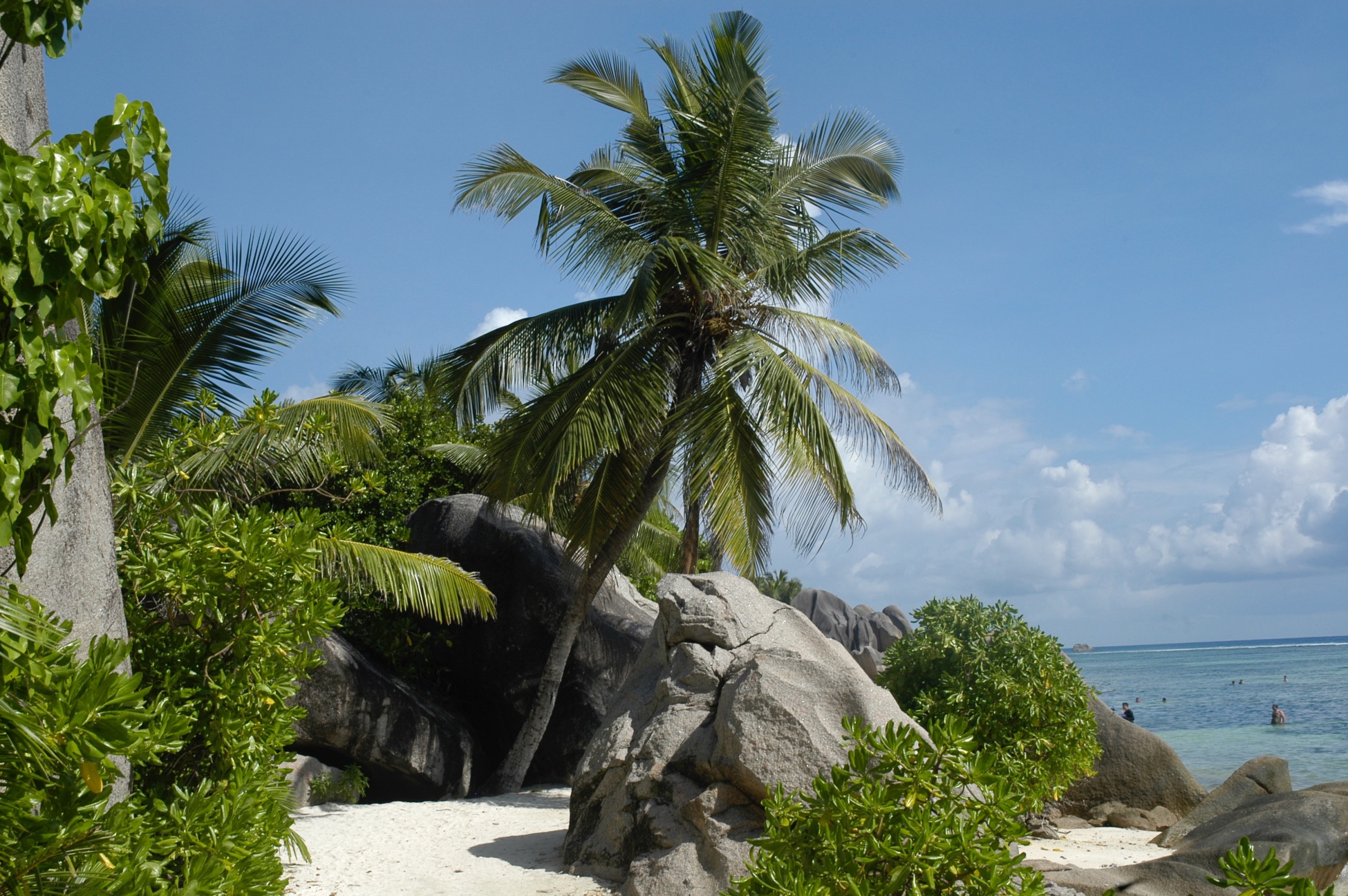 LS Seychelles La Digue.jpg