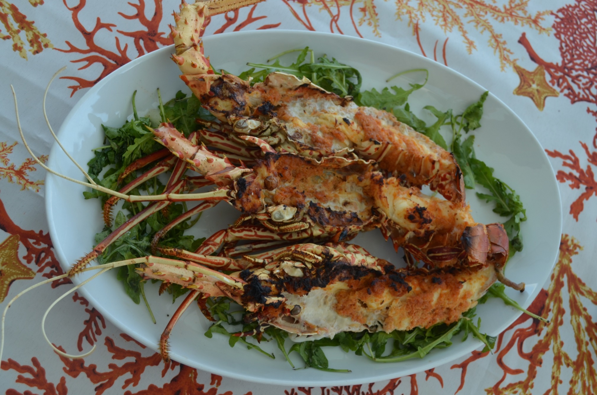 Lobster caught locally.jpg