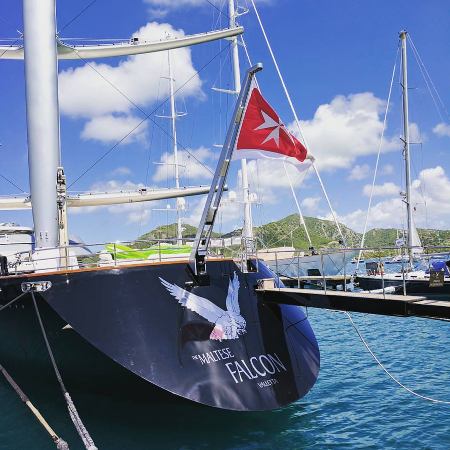 Maltese Falcon. photo credit @boggler.png