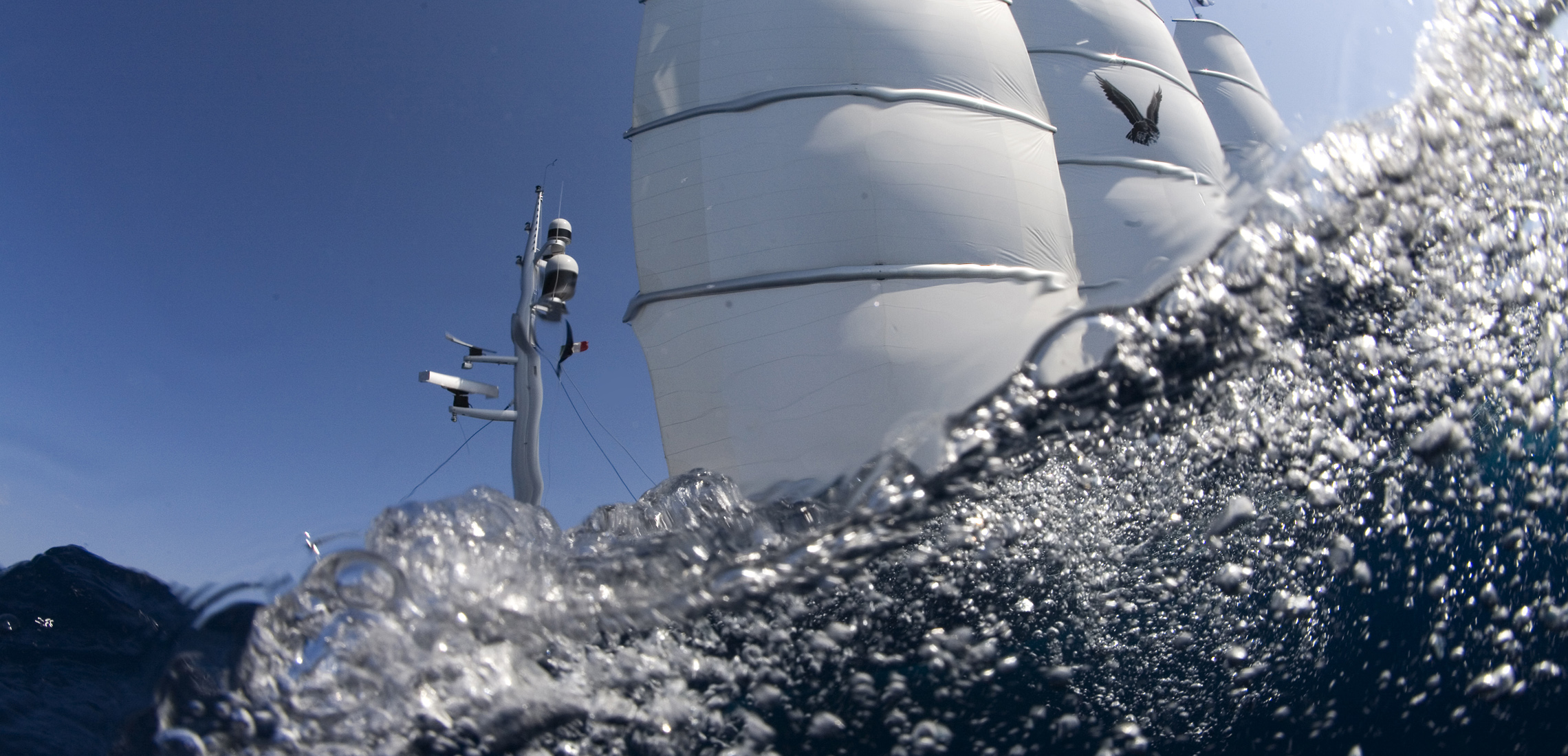 Maltese Falcon. photo-credits-borlenghi-perini.jpg