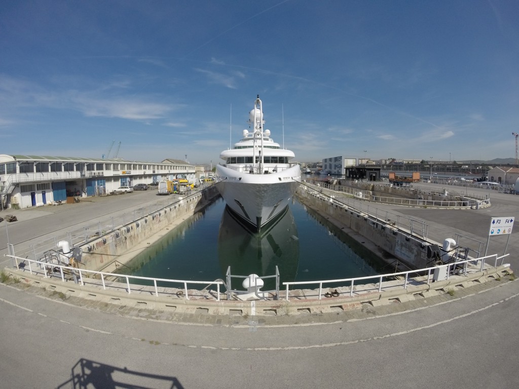 PEGASUS-VIII-.jpg