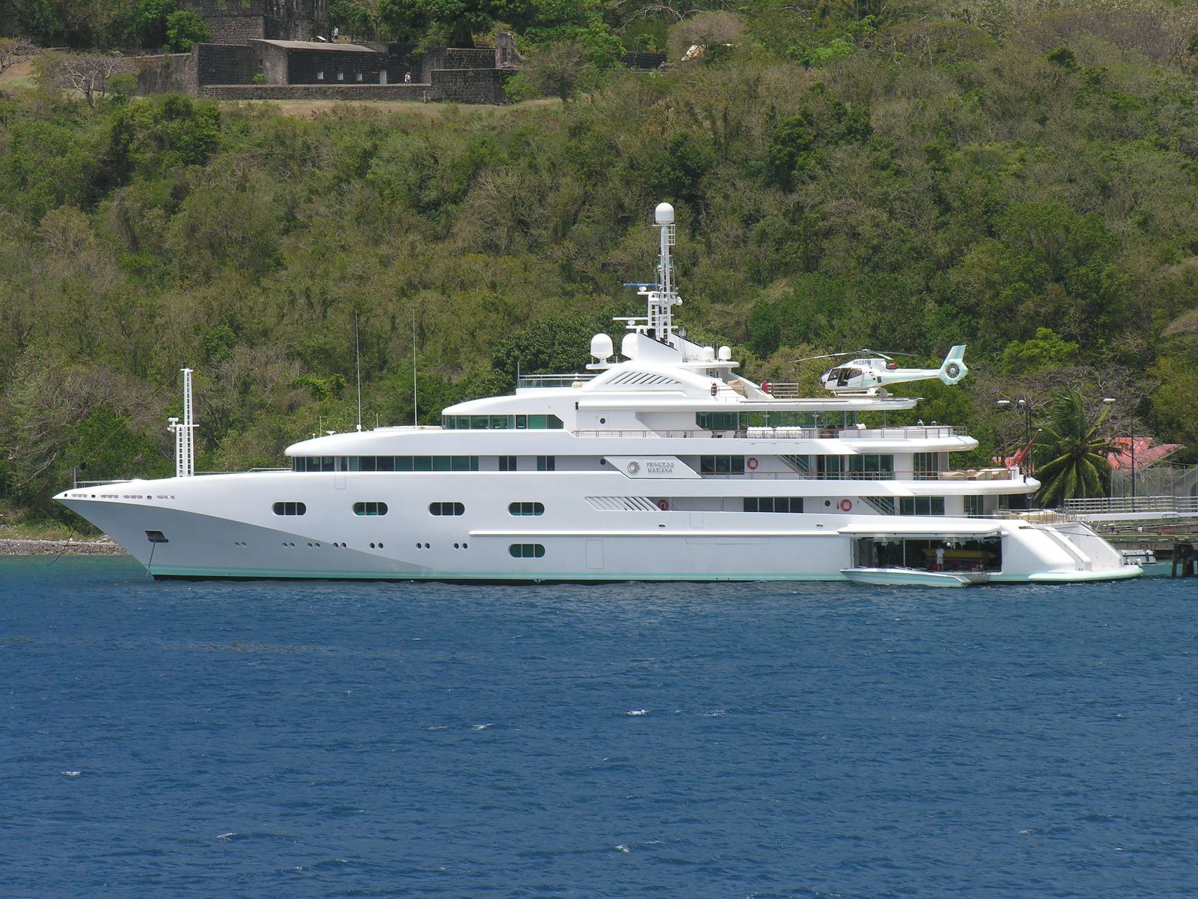 Pegasus VIII profile.jpg