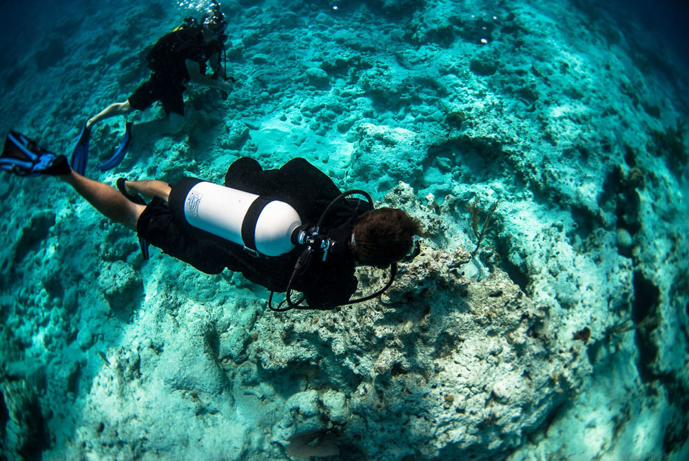 Scuba diving .jpg