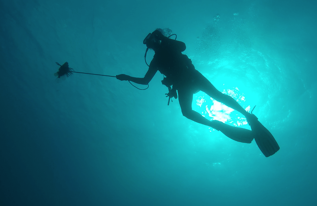 Scuba diving 00009.png