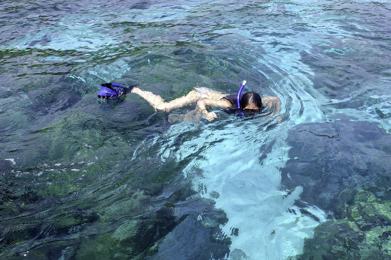 Swimming 00003.jpg