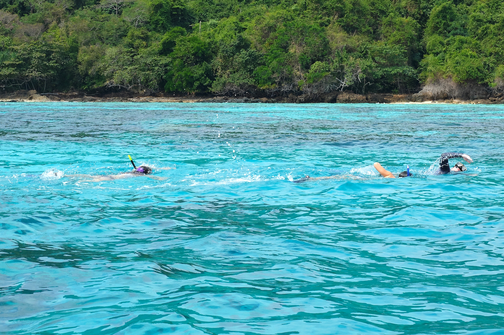 Swimming 00005.jpg