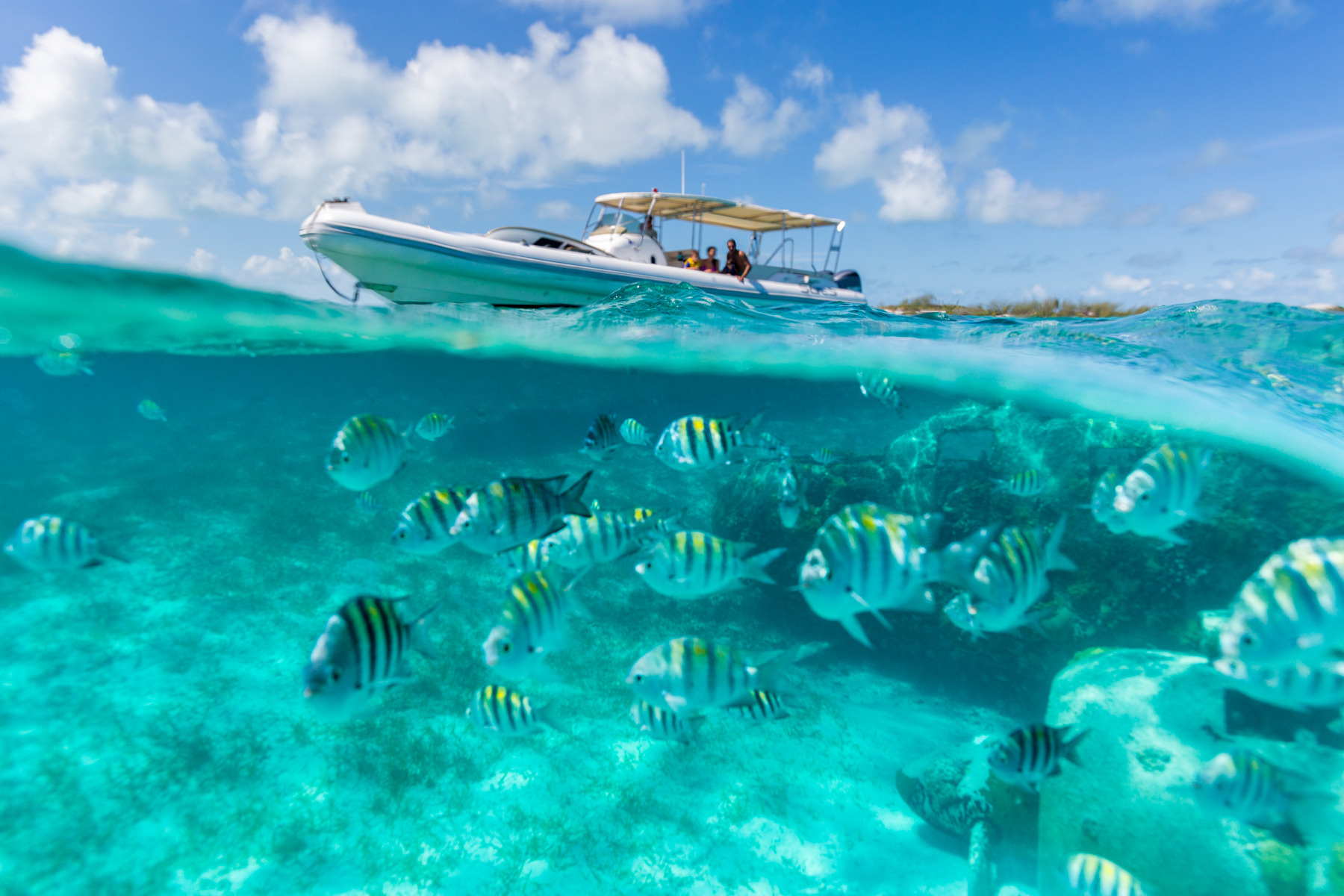 Tender in the Bahamas.jpg