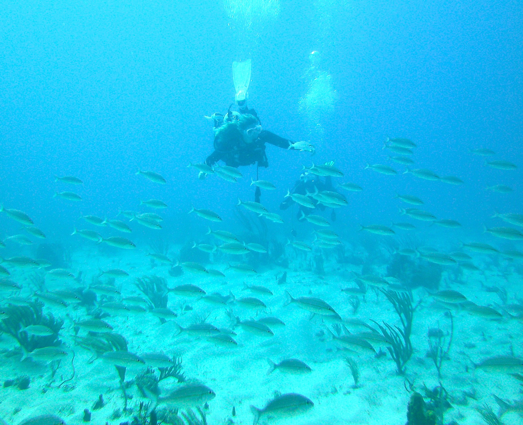 Under water  00001.jpg