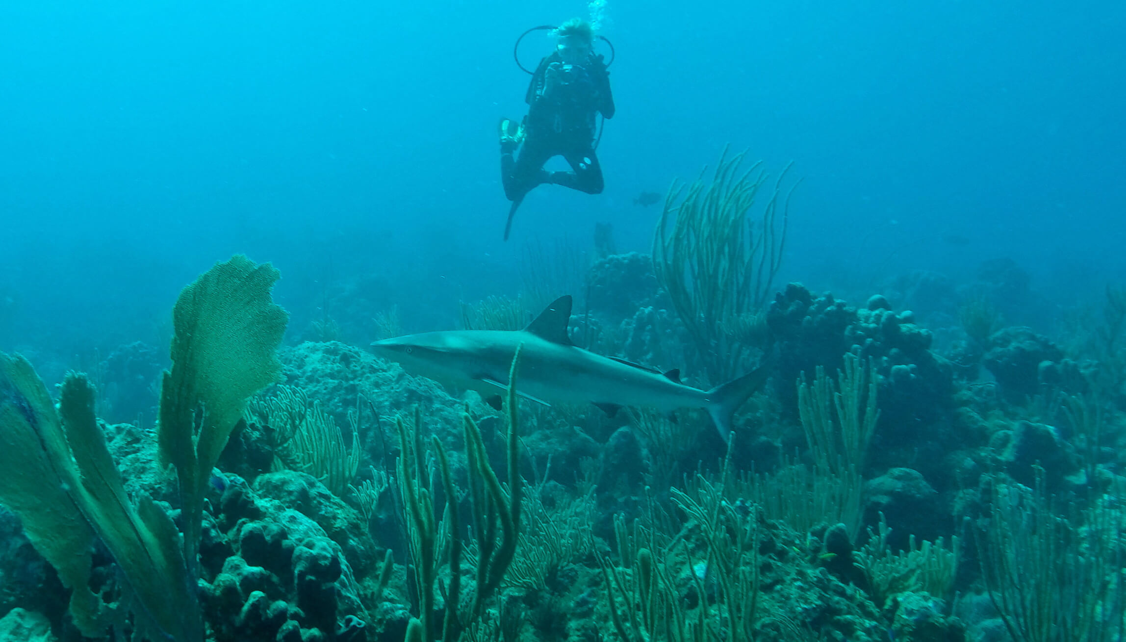 Under water  00002.jpg