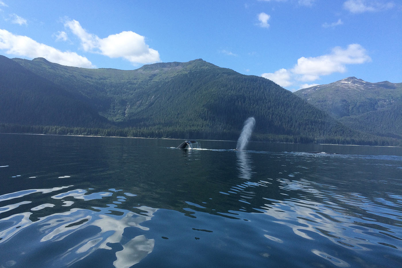 Yacht charter vacation in Alaska 1.jpg