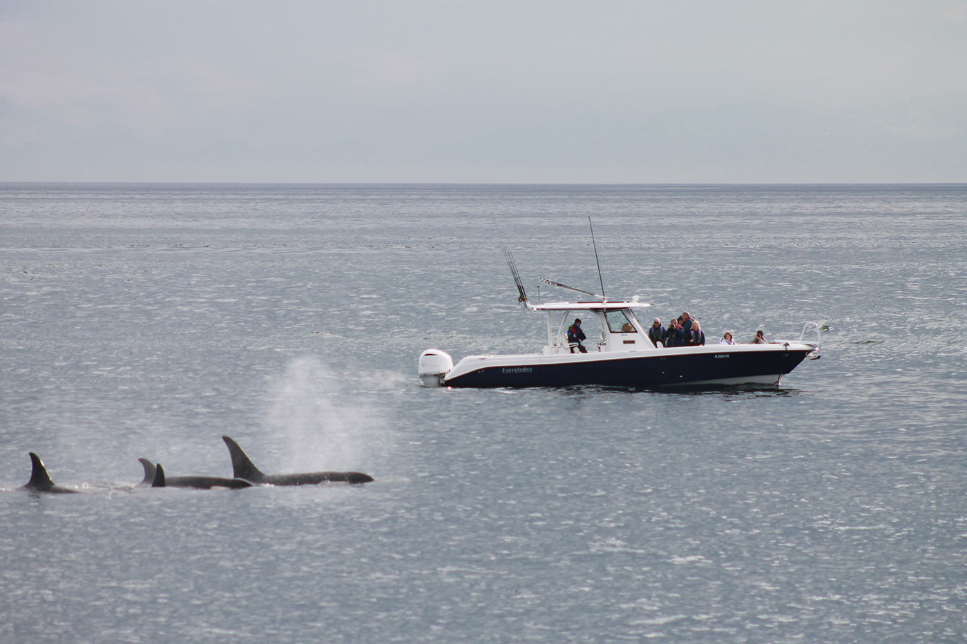 Yacht charter vacation in Alaska 3.jpg