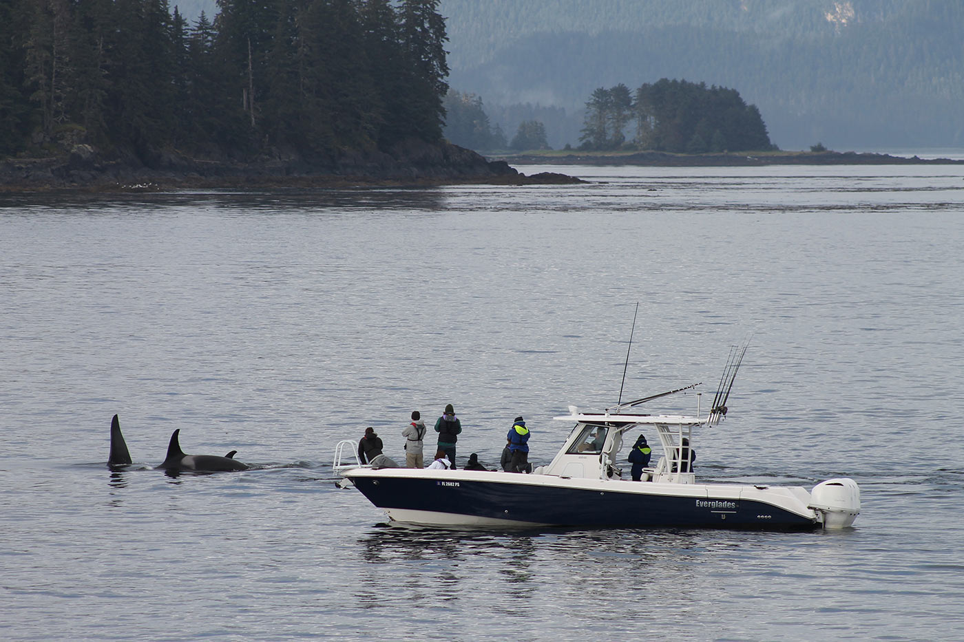 Yacht charter vacation in Alaska 4.jpg