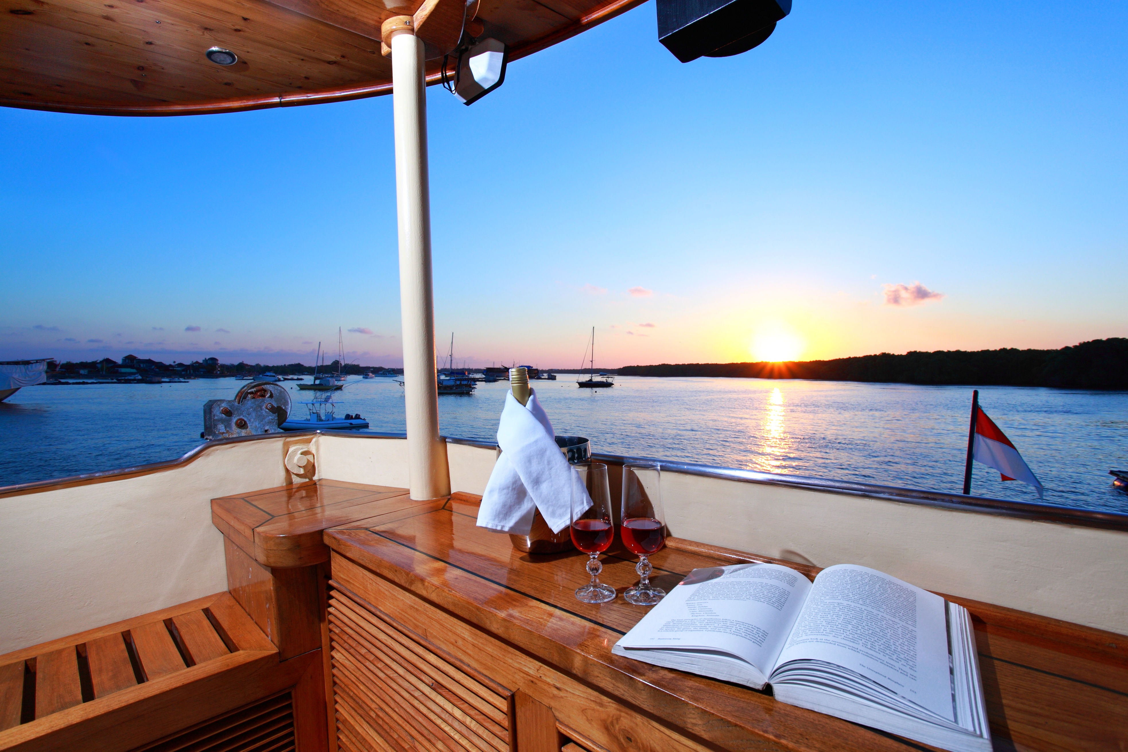 adelaar-cruise-liveaboard-diving-cruising-party-charter-in-bali-komodo-indonesia-13.jpg