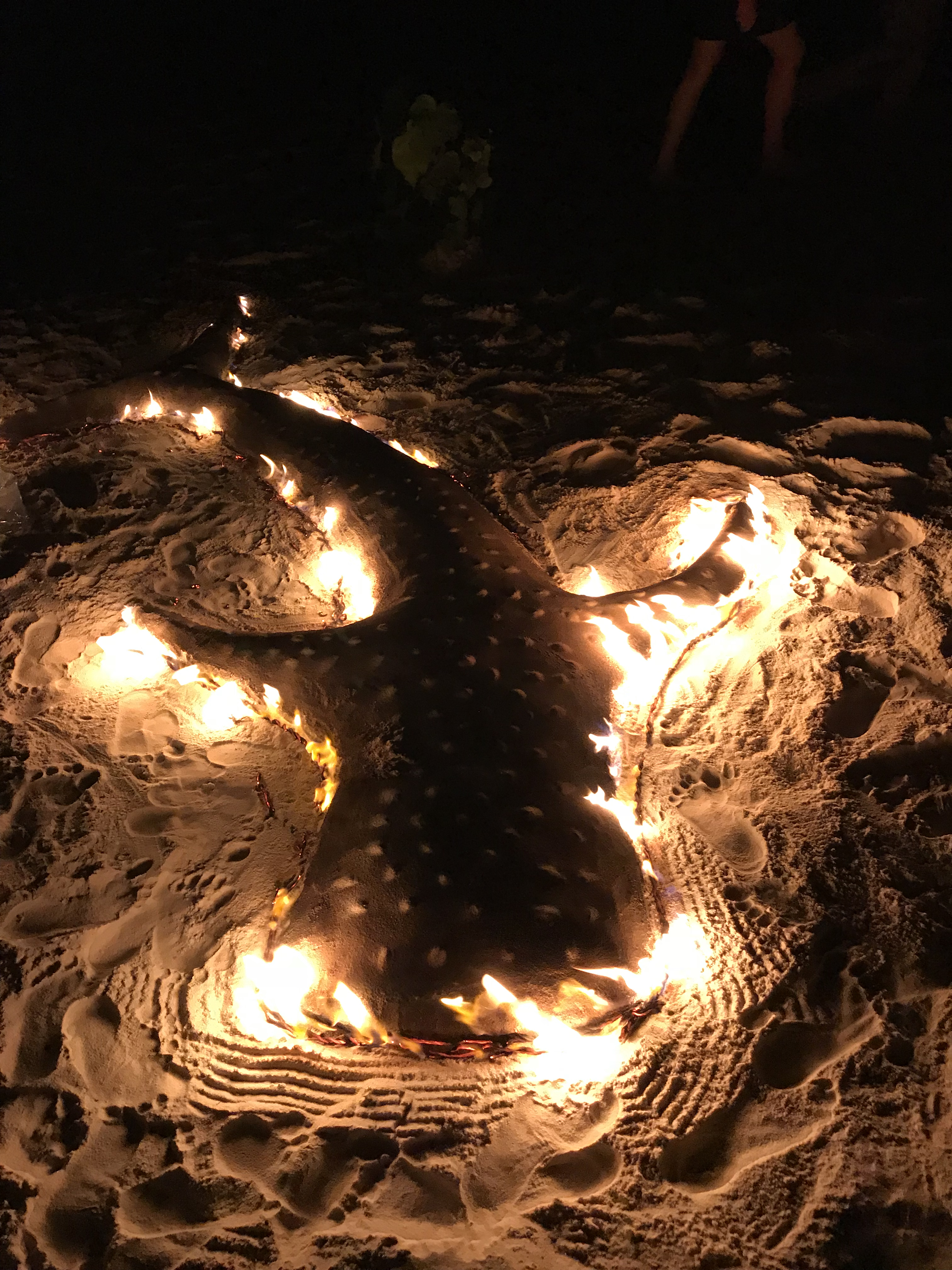 beach bbq.jpg