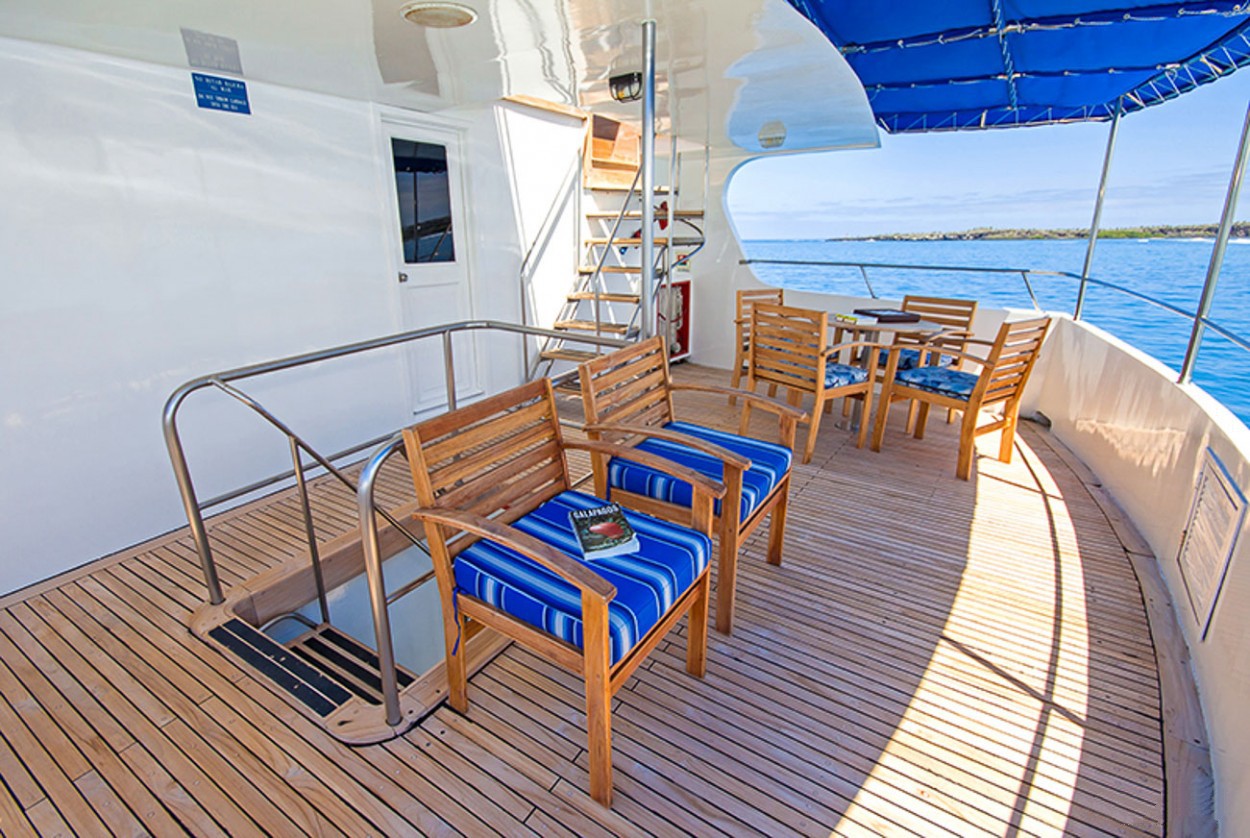 deck areas.jpg