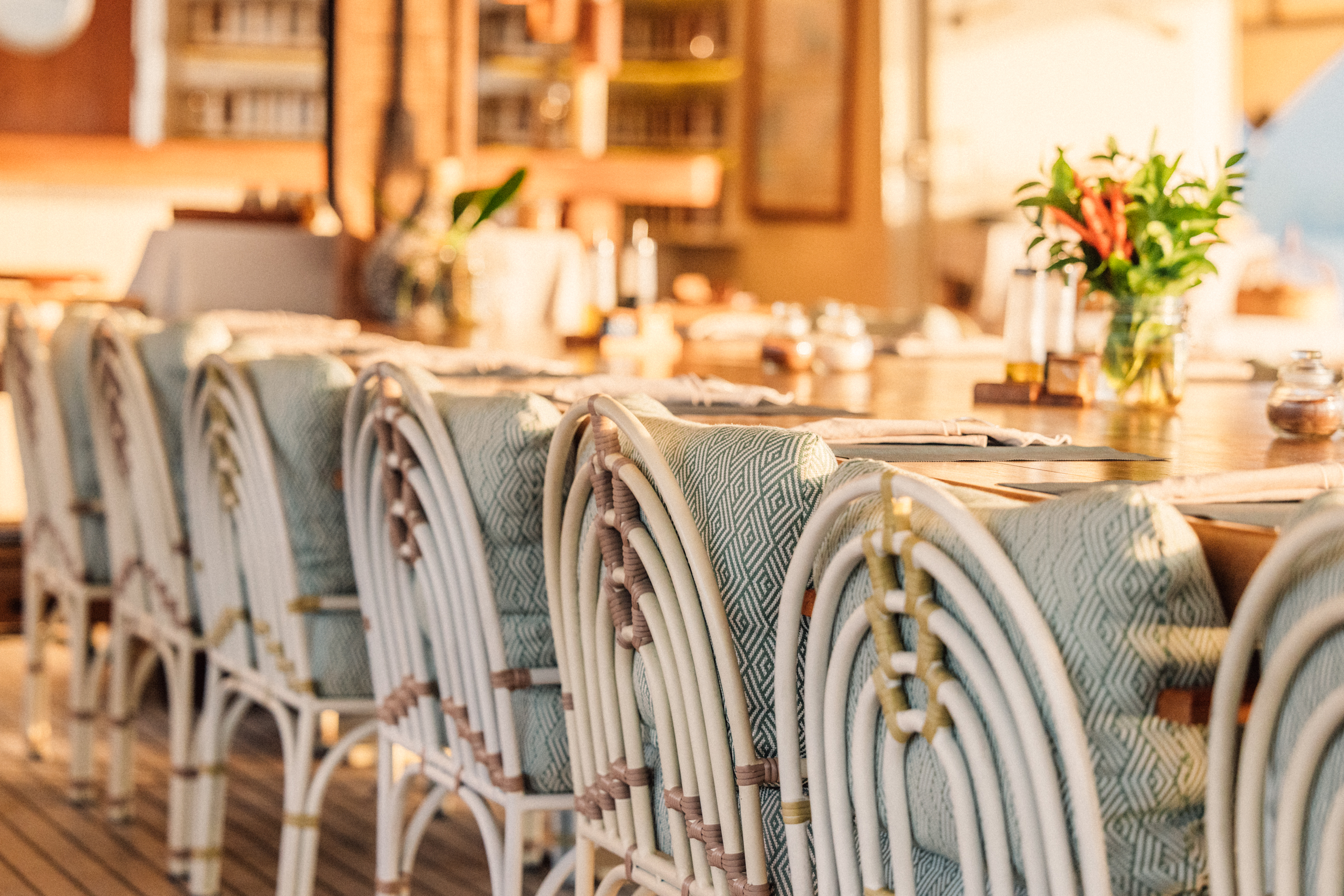 dining chairs - Kudanil - Jack Johns.jpg