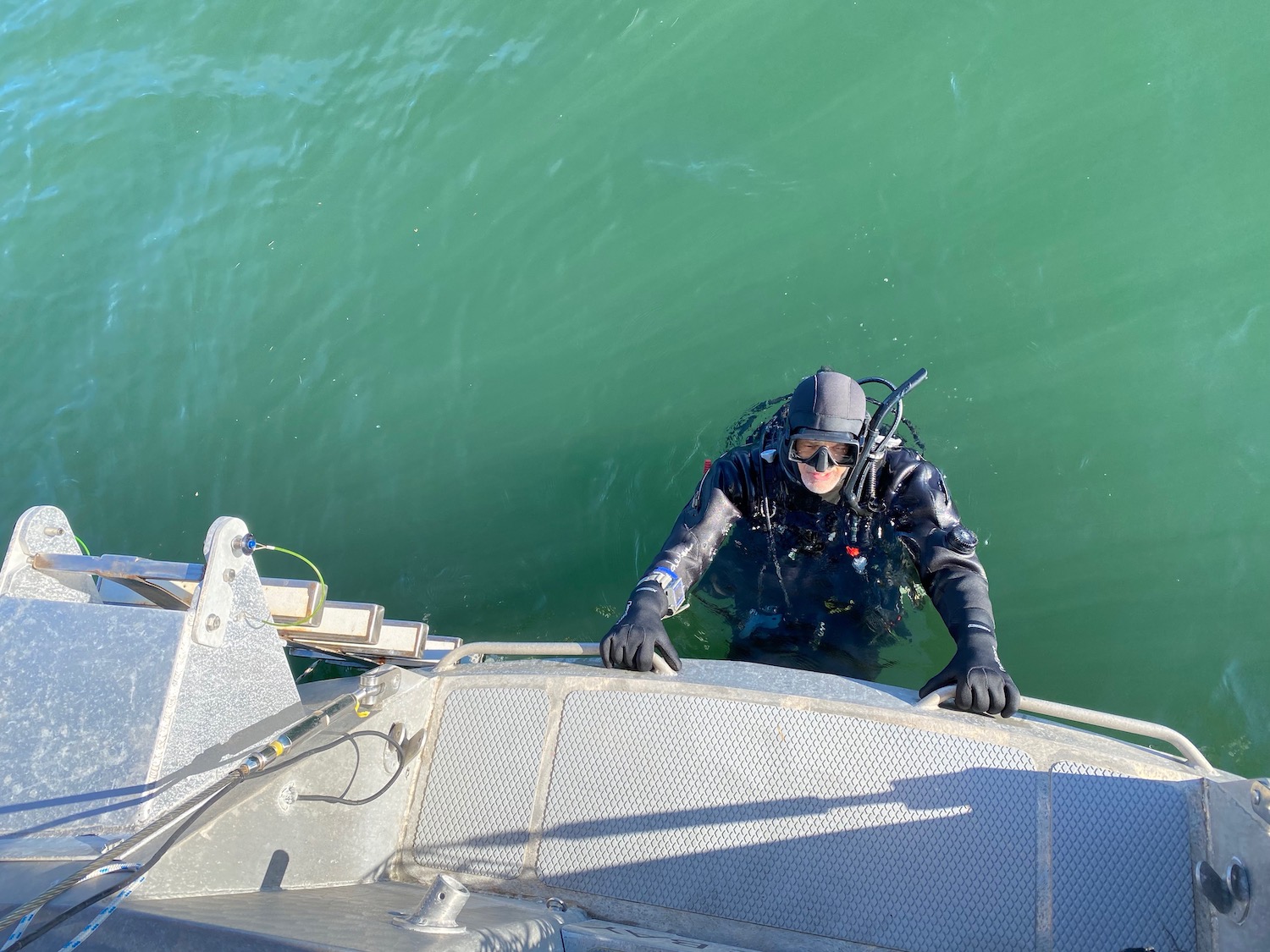 diving  .jpg