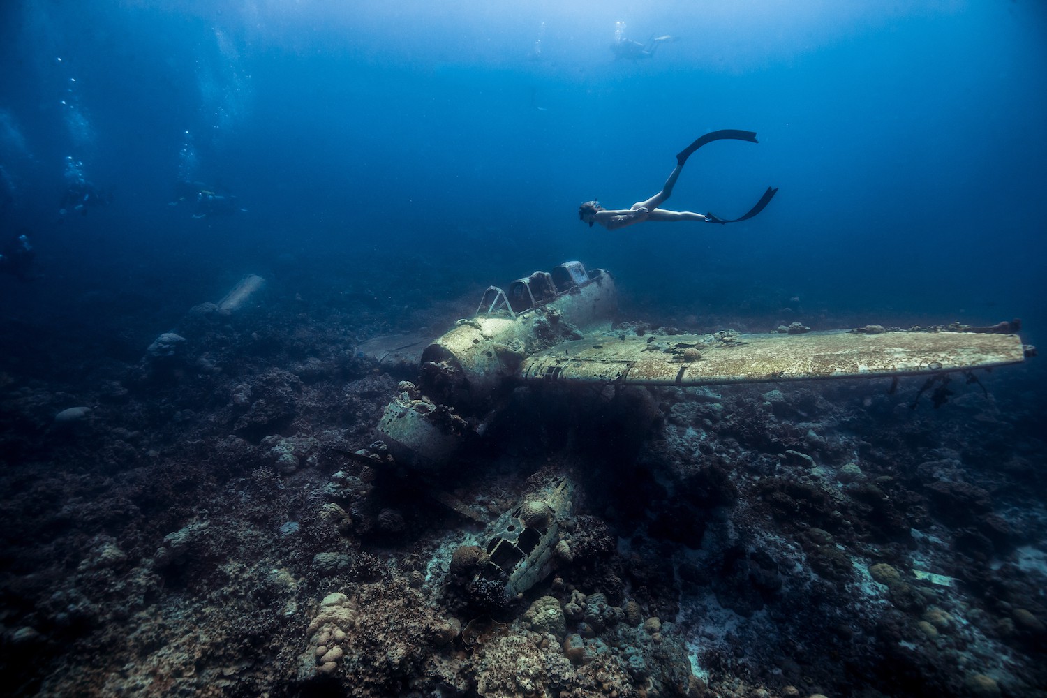diving with Black Pearl - Photo © Shan Photography Studio 2018 Palau.jpg