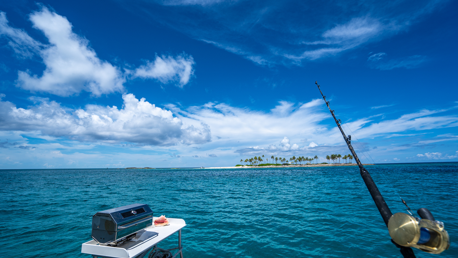 fishing and barbecue.jpg