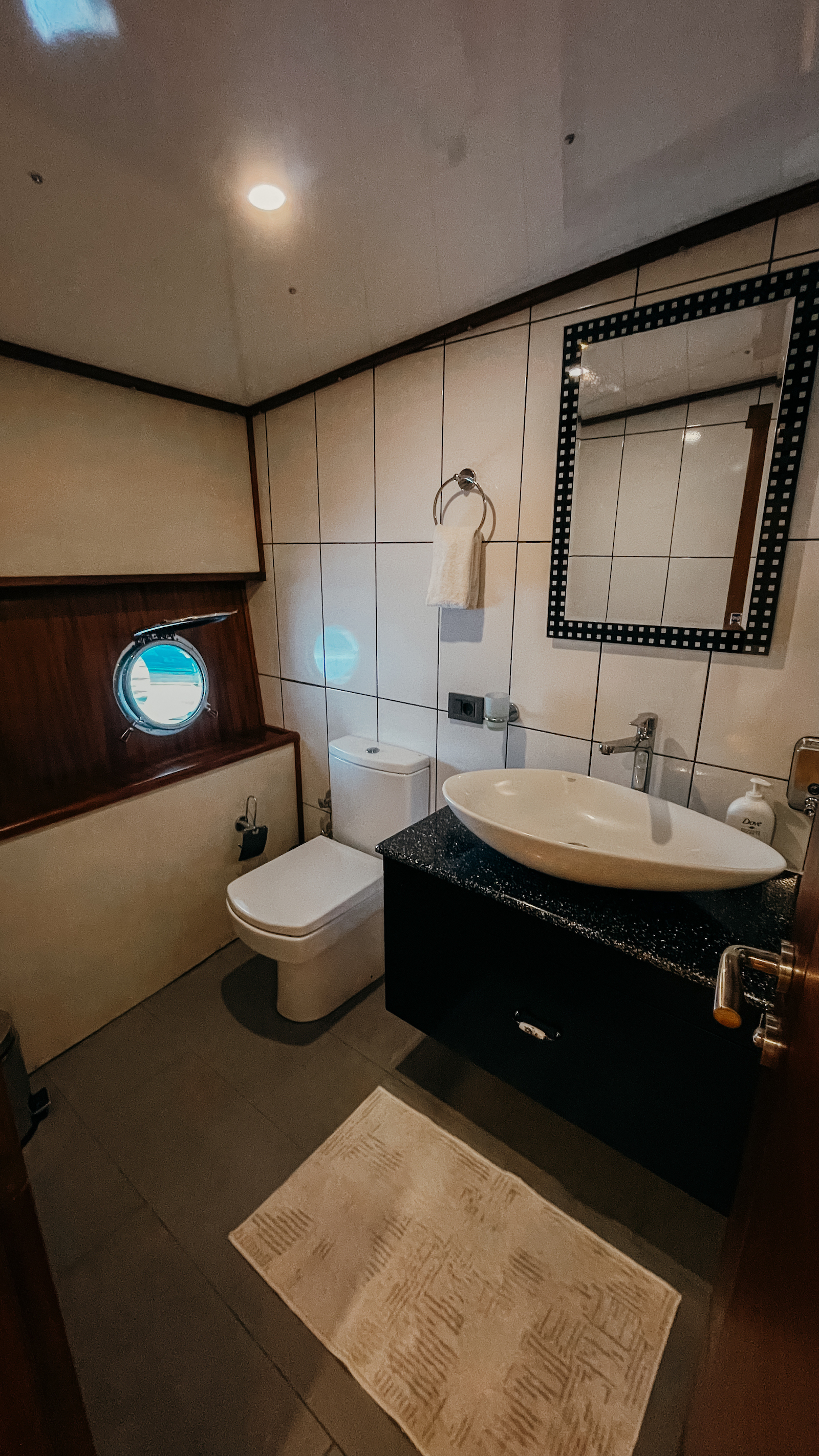guest suite bathroom .jpg