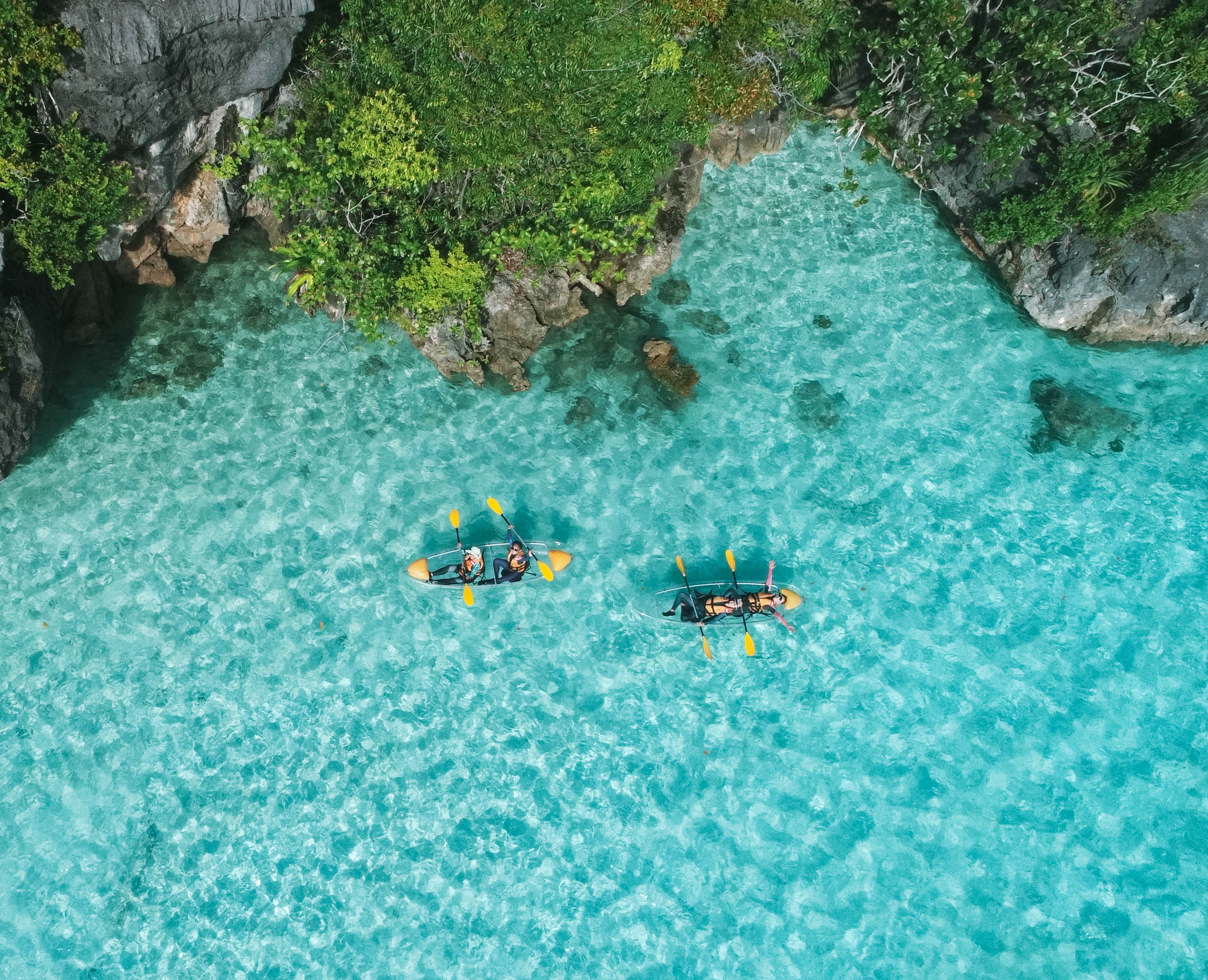 kayak - Kudanil - Jack Johns.jpg