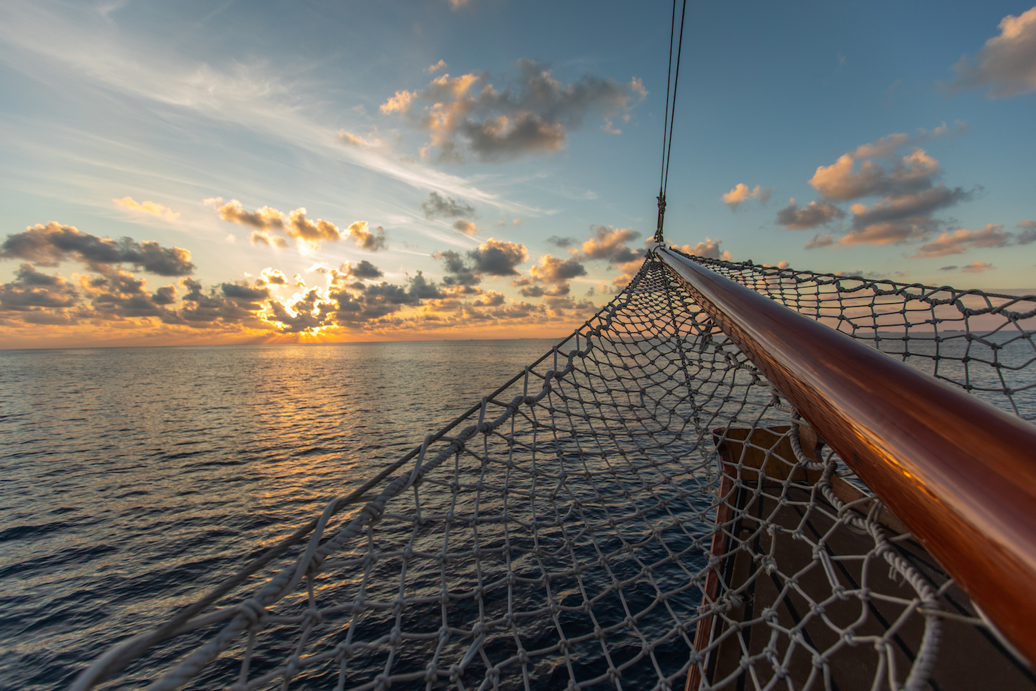 net detail.jpg