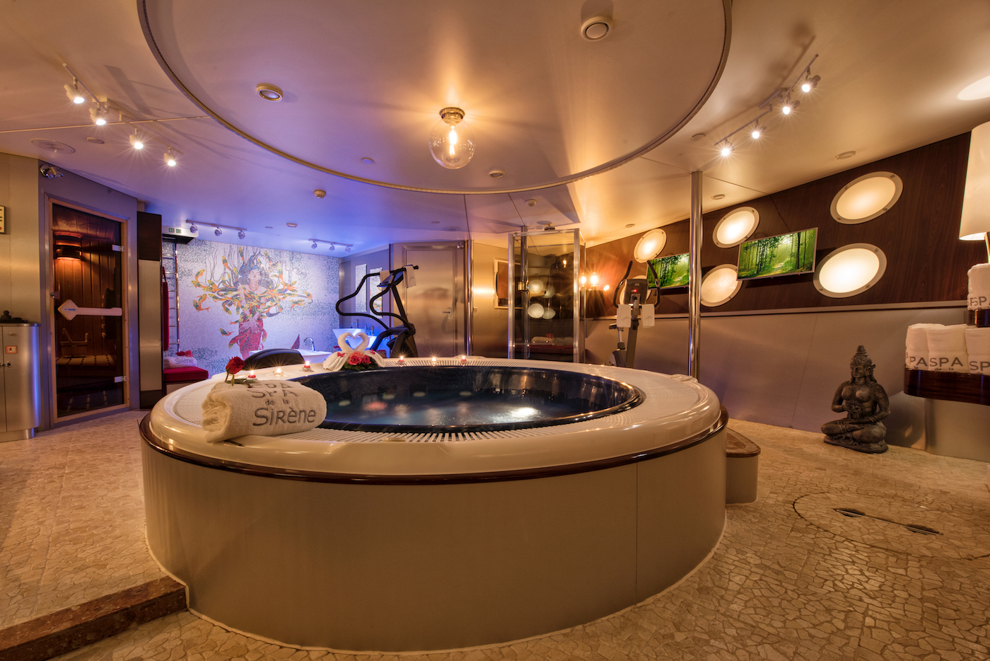 spa with Jacuzzi and gym.jpg